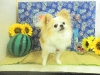dscn4371
