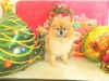 dscn4673