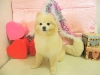 dscn5195