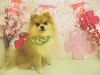 dscn5368
