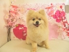 dscn5438