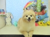 dscn5884
