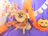 dscn7003