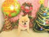 dscn7607