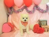 dscn8355