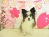 dscn8800