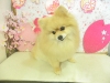 dscn8960