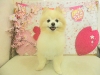 dscn8992