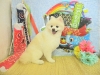 dscn9186