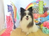dscn9216
