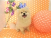 dscn9501