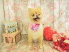 dscn9538