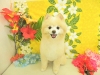 dscn9740