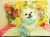 dscn9816