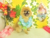 dscn9976