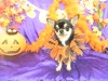 dscn4173