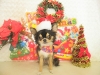 dscn4309_0
