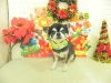 dscn4490