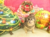 dscn4542