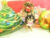 dscn4676