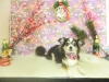 dscn4953