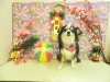 dscn4977_0