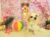 dscn5006