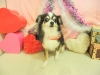 dscn5256