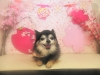 dscn5305