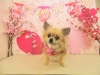 dscn5497