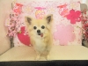 dscn5554