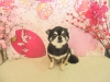 dscn5576