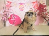 dscn5597