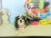 dscn5904