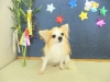 dscn6167