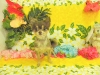 dscn6247_0