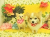dscn6356