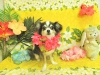 dscn6485