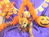 dscn7156