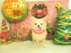 dscn7689