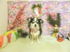 dscn8084_0