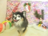 dscn8090