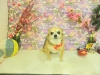 dscn8221