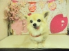 dscn8454