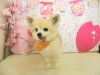 dscn9002