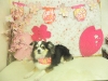 dscn9018