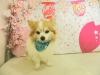 dscn9022
