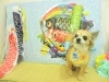 dscn9355