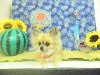 dscn9456