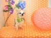 dscn9504